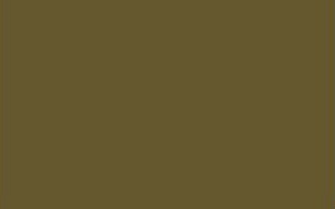 Olive Brown PB3124