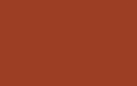 Red Brown PB3131