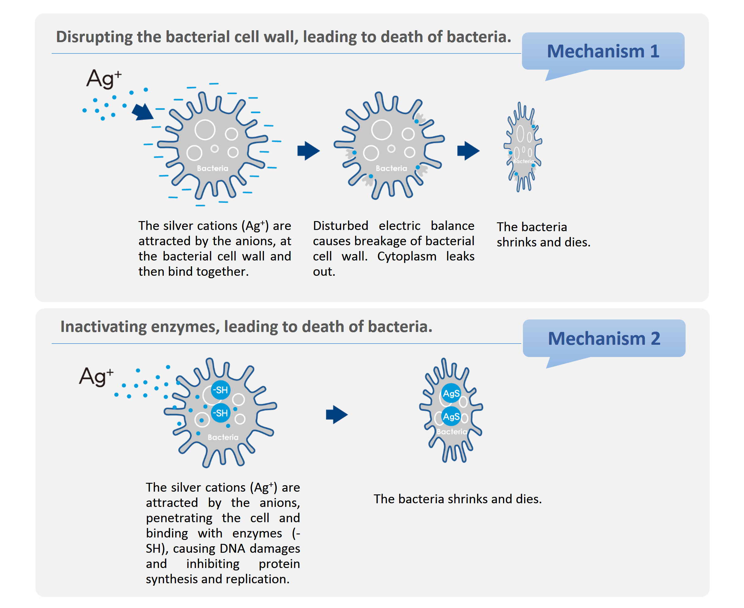 Ag+yín lízǐ shuāngchóng kàngjùn jīzhì 12 / 5,000 翻譯結果 Ag+ silver ion dual antibacterial mechanism